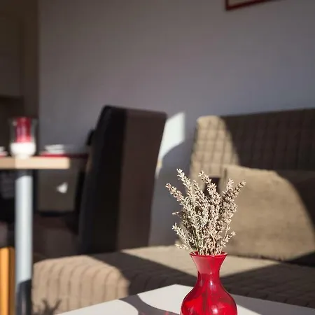 Janja Apartman *